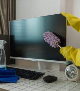 the housewife is cleaning the house, the wife is cleaning the house while waiting for her husband to com back form work, the cleaner is very attentive